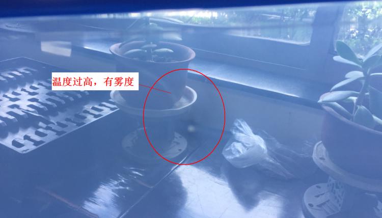 注塑製品質量缺陷分析（六）造成製品表麵有霧度的主要原因是什麽？
